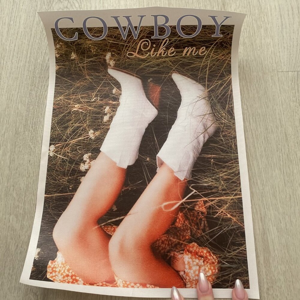 Taylor Swift inspired Cowboy Like Me fabric vinyl print 13.75 in x 9.75 in